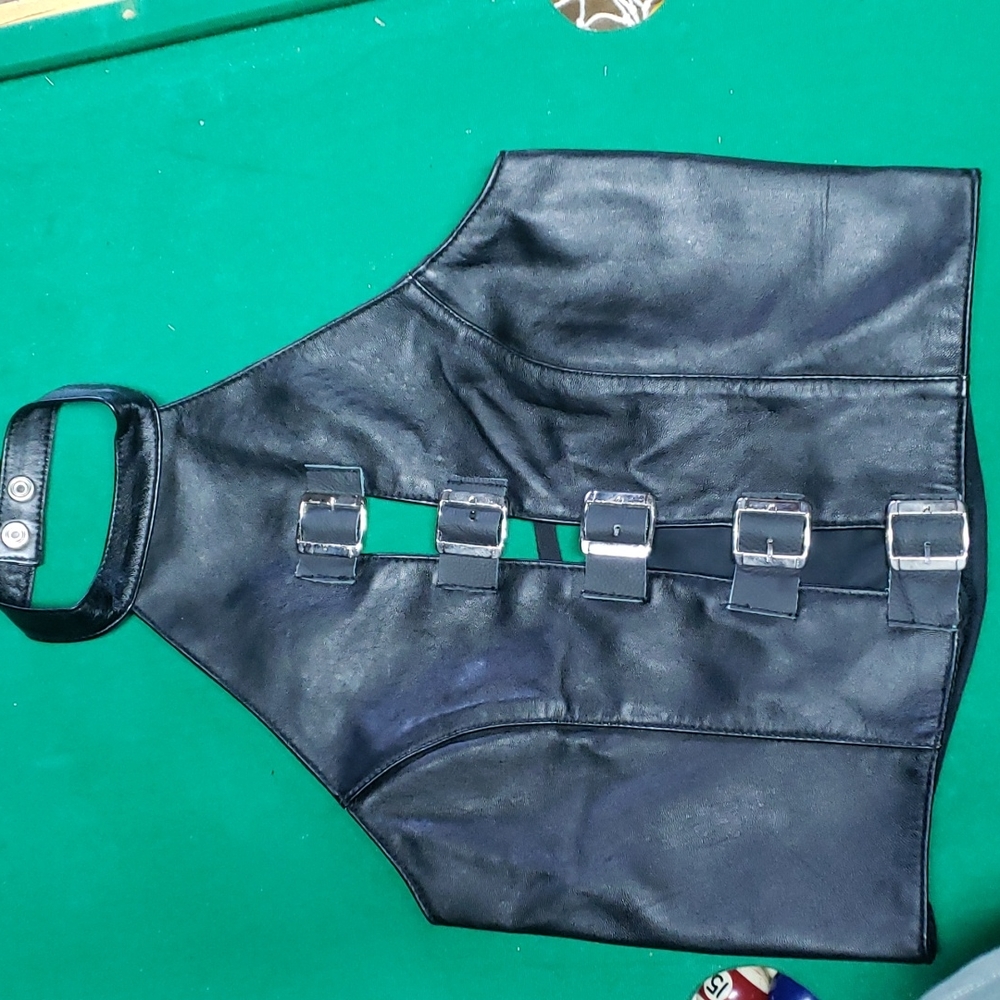 Leather top with center buckles and snaps around neck